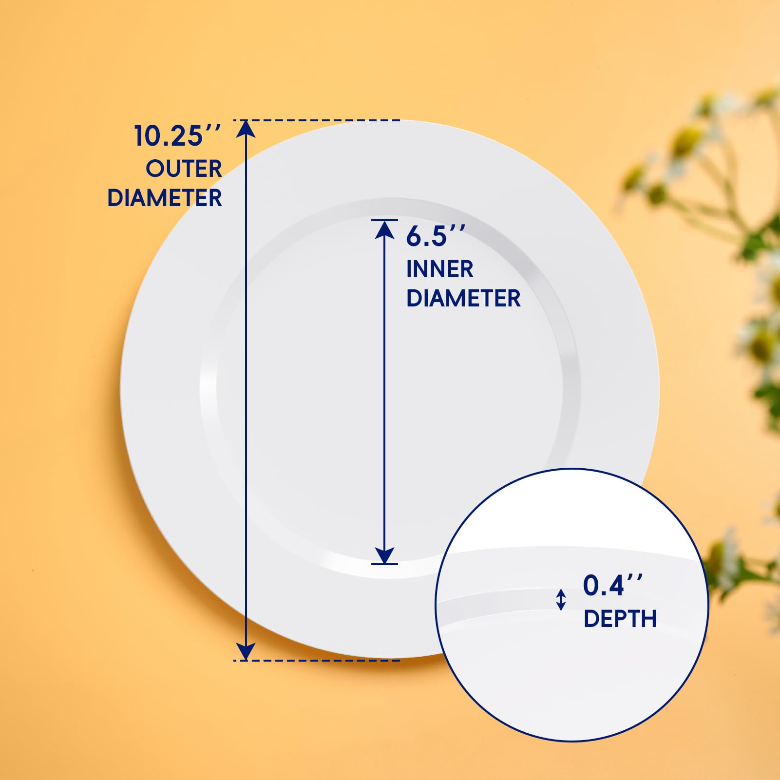 10In Bulk Plastic Plates | Disposable Plates for Burgers, Salads | BPA - Free | Restaurant Supply - EWT
