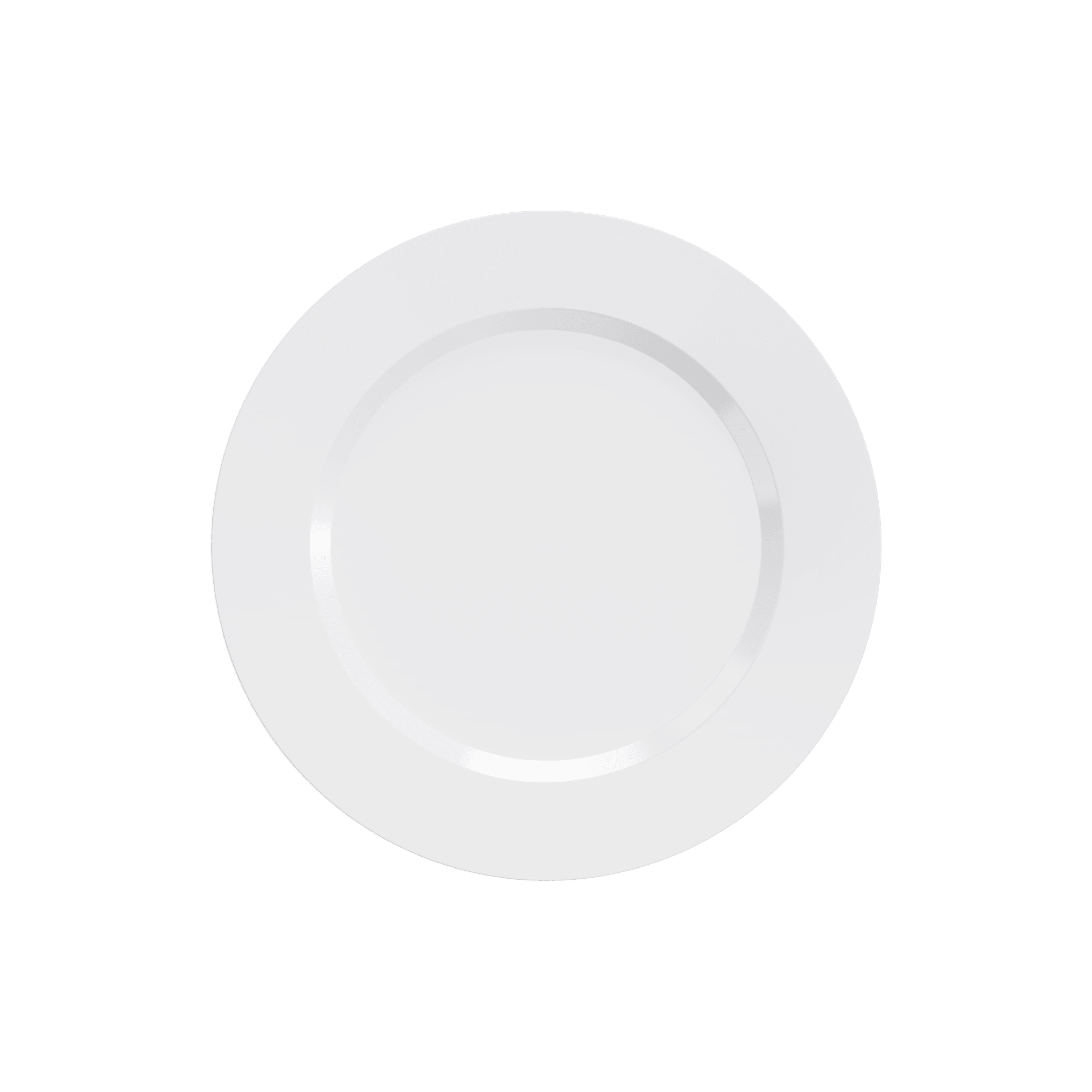 10In Bulk Plastic Plates | Disposable Plates for Burgers, Salads | BPA - Free | Restaurant Supply - EWT