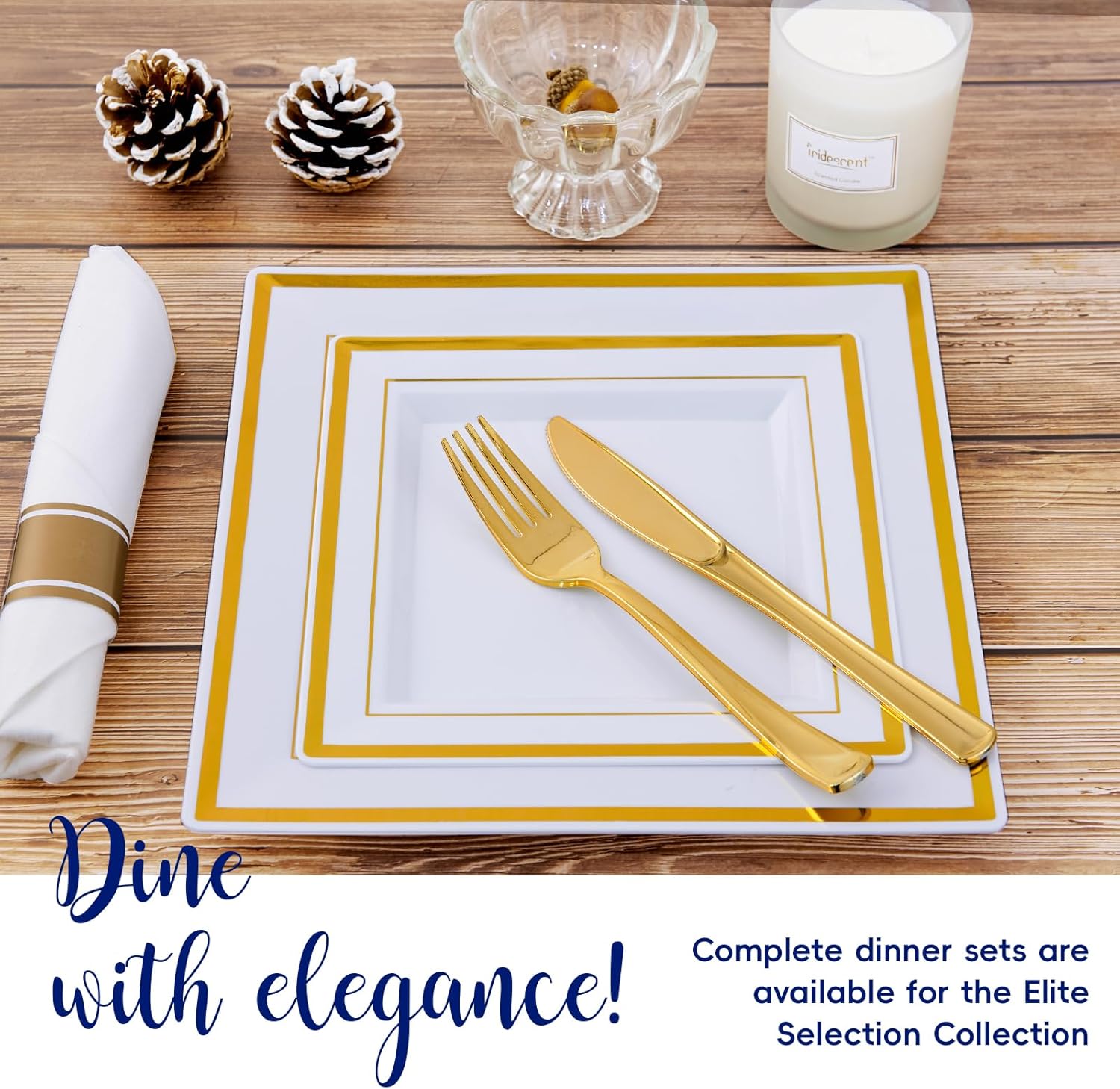 9.5in Bulk Plastic Plates | Disposable Plates for Appetizers, Desserts | 100% Food - Grade Plastic | Restaurant Supply - EWT